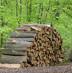 achat de bois de chauffage à Saulx-Marchais, Plaisir dans les Yvelines 78