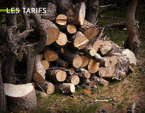 bois de chauffage Vicq , Plaisir, Houdan, Montfort-L'amaury, Vernon, Bonnières, Rolleboise