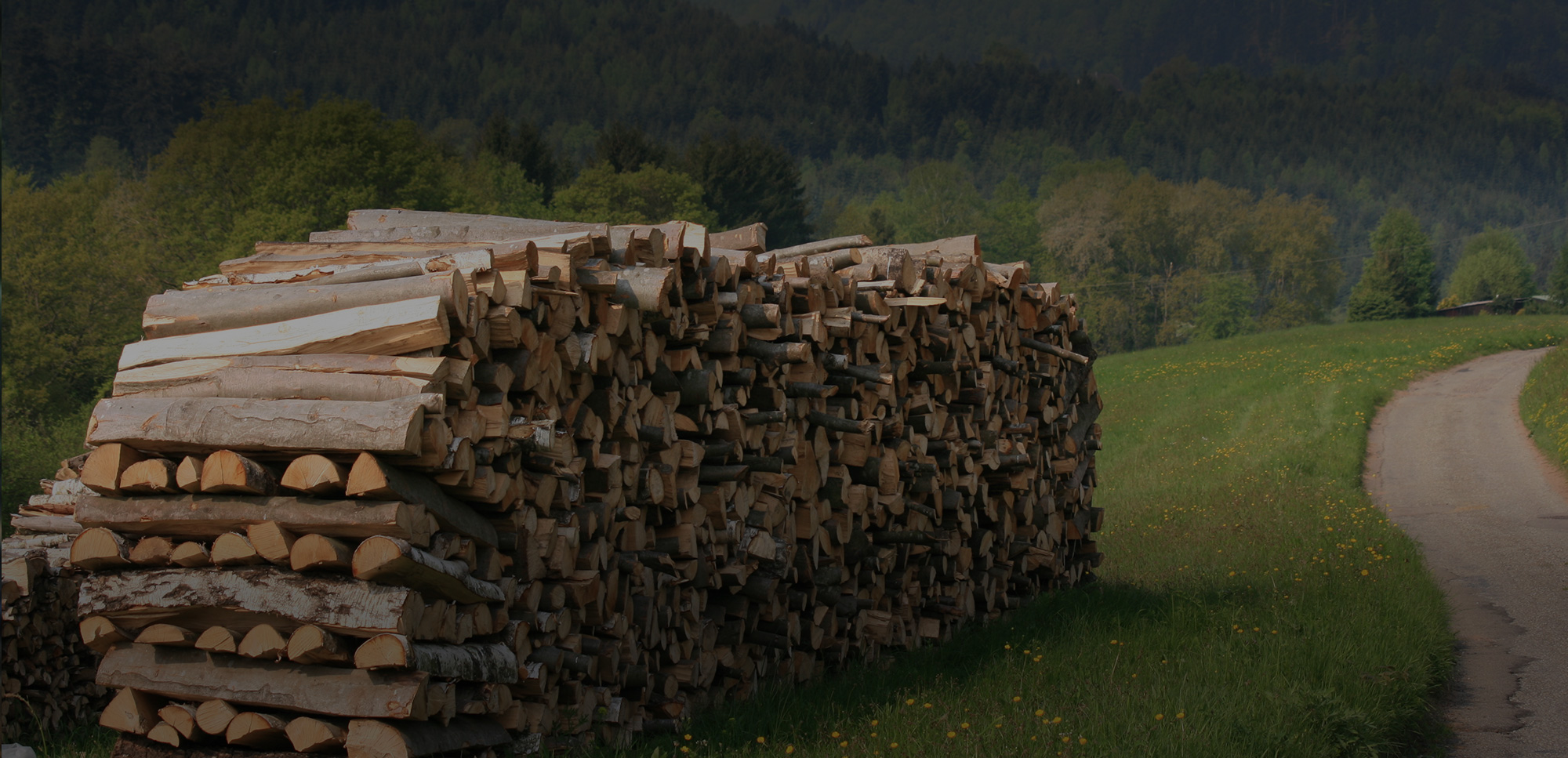 Bois de chauffage à Saulx-Marchais, Plaisir et Montfort-l'Amaury - Olivier  Moreau